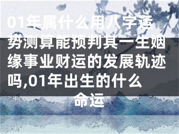 01年属什么用八字运势测算能预判其一生姻缘事业财运的发展轨迹吗,01年出生的什么命运
