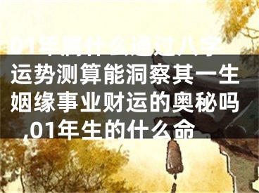 01年属什么通过八字运势测算能洞察其一生姻缘事业财运的奥秘吗,01年生的什么命