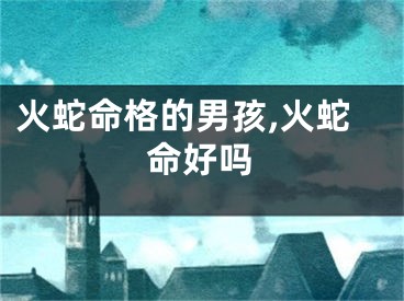 火蛇命格的男孩,火蛇命好吗