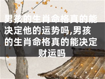 男孩的生肖命格真的能决定他的运势吗,男孩的生肖命格真的能决定财运吗