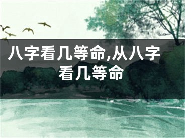八字看几等命,从八字看几等命