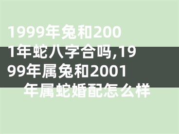 1999年兔和2001年蛇八字合吗,1999年属兔和2001年属蛇婚配怎么样