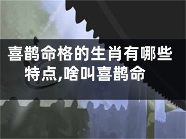 喜鹊命格的生肖有哪些特点,啥叫喜鹊命