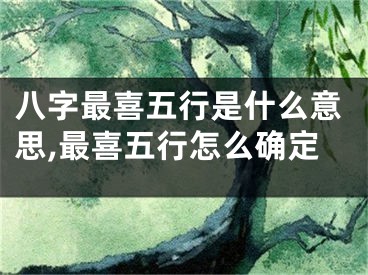 八字最喜五行是什么意思,最喜五行怎么确定
