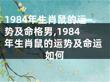 1984年生肖鼠的运势及命格男,1984年生肖鼠的运势及命运如何