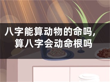 八字能算动物的命吗,算八字会动命根吗
