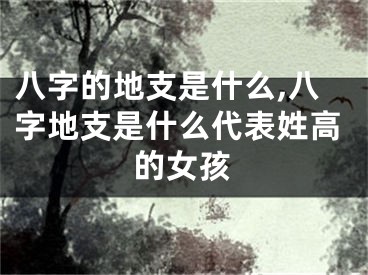 八字的地支是什么,八字地支是什么代表姓高的女孩