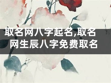 取名网八字起名,取名网生辰八字免费取名