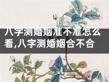 八字测婚姻准不准怎么看,八字测婚姻合不合