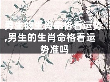 男生的生肖命格看运势,男生的生肖命格看运势准吗