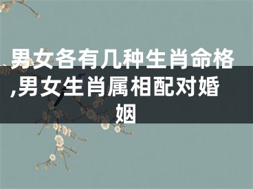 男女各有几种生肖命格,男女生肖属相配对婚姻