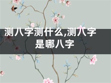 测八字测什么,测八字是哪八字