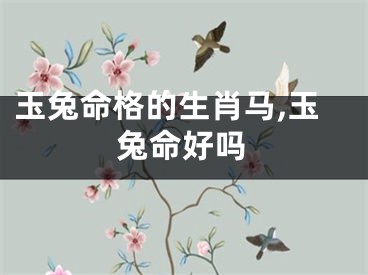 玉兔命格的生肖马,玉兔命好吗
