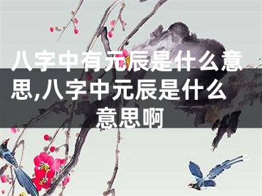 八字中有元辰是什么意思,八字中元辰是什么意思啊