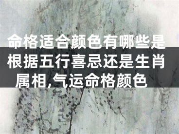 命格适合颜色有哪些是根据五行喜忌还是生肖属相,气运命格颜色