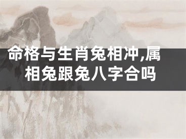 命格与生肖兔相冲,属相兔跟兔八字合吗