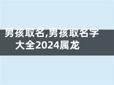 男孩取名,男孩取名字大全2024属龙