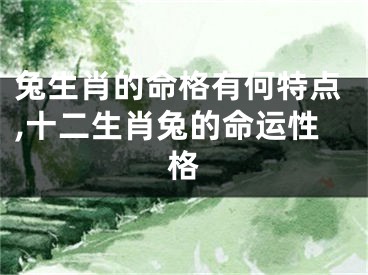 兔生肖的命格有何特点,十二生肖兔的命运性格