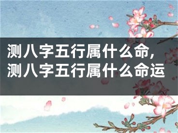 测八字五行属什么命,测八字五行属什么命运