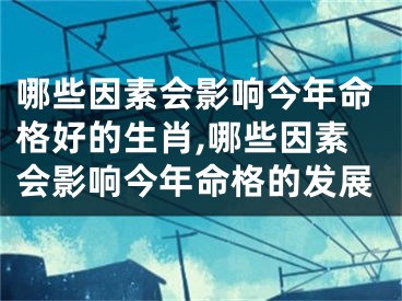 哪些因素会影响今年命格好的生肖,哪些因素会影响今年命格的发展