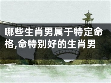哪些生肖男属于特定命格,命特别好的生肖男