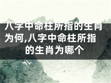 八字中命柱所指的生肖为何,八字中命柱所指的生肖为哪个