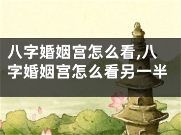 八字婚姻宫怎么看,八字婚姻宫怎么看另一半