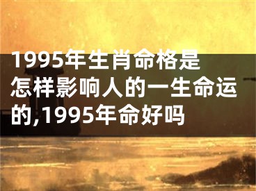 1995年生肖命格是怎样影响人的一生命运的,1995年命好吗