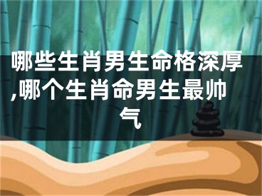 哪些生肖男生命格深厚,哪个生肖命男生最帅气