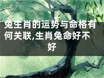 兔生肖的运势与命格有何关联,生肖兔命好不好