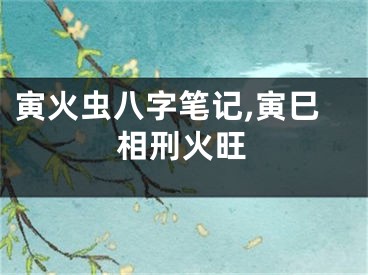 寅火虫八字笔记,寅巳相刑火旺