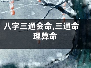 八字三通会命,三通命理算命