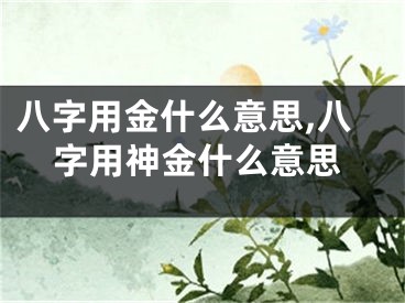八字用金什么意思,八字用神金什么意思