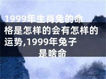 1999年生肖兔的命格是怎样的会有怎样的运势,1999年兔子是啥命