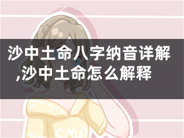 沙中土命八字纳音详解,沙中土命怎么解释