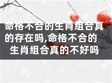 命格不合的生肖组合真的存在吗,命格不合的生肖组合真的不好吗