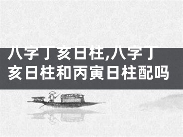 八字丁亥日柱,八字丁亥日柱和丙寅日柱配吗