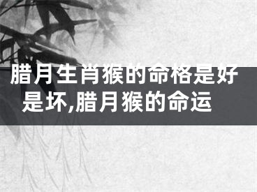 腊月生肖猴的命格是好是坏,腊月猴的命运
