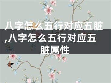 八字怎么五行对应五脏,八字怎么五行对应五脏属性