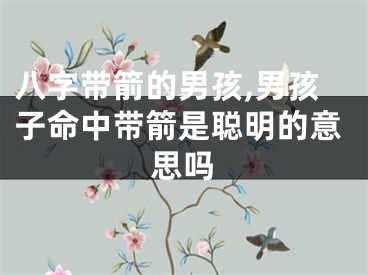 八字带箭的男孩,男孩子命中带箭是聪明的意思吗