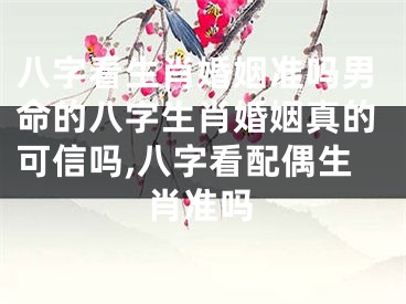 八字看生肖婚姻准吗男命的八字生肖婚姻真的可信吗,八字看配偶生肖准吗