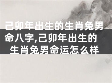 己卯年出生的生肖兔男命八字,己卯年出生的生肖兔男命运怎么样