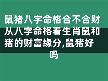 鼠猪八字命格合不合财从八字命格看生肖鼠和猪的财富缘分,鼠猪好吗