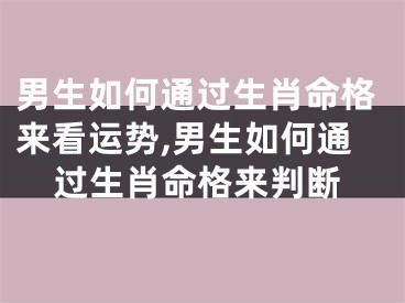 男生如何通过生肖命格来看运势,男生如何通过生肖命格来判断