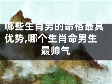 哪些生肖男的命格最具优势,哪个生肖命男生最帅气