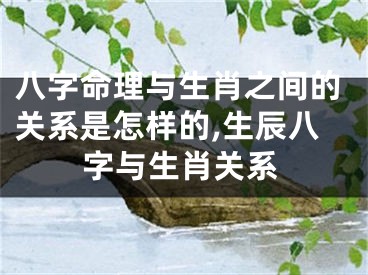 八字命理与生肖之间的关系是怎样的,生辰八字与生肖关系