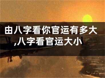 由八字看你官运有多大,八字看官运大小