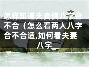 怎样知道夫妻俩八字合不合（怎么看两人八字合不合适,如何看夫妻八字
