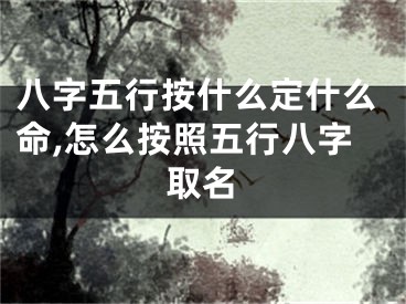 八字五行按什么定什么命,怎么按照五行八字取名