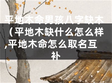 平地木命男孩八字缺木（平地木缺什么怎么样,平地木命怎么取名互补